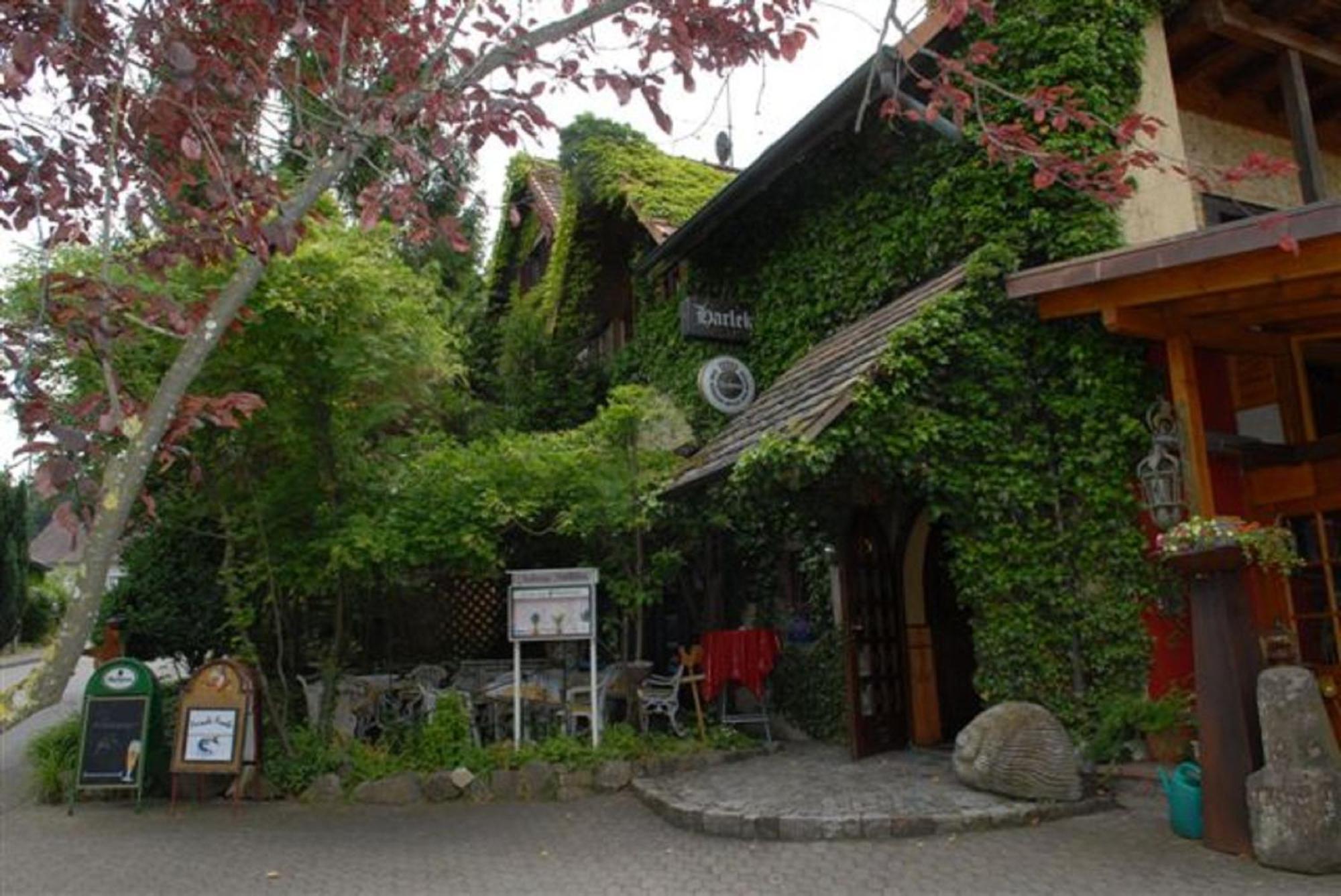 Alte Schreinerei-Auberge Harlekin Randegg Kültér fotó