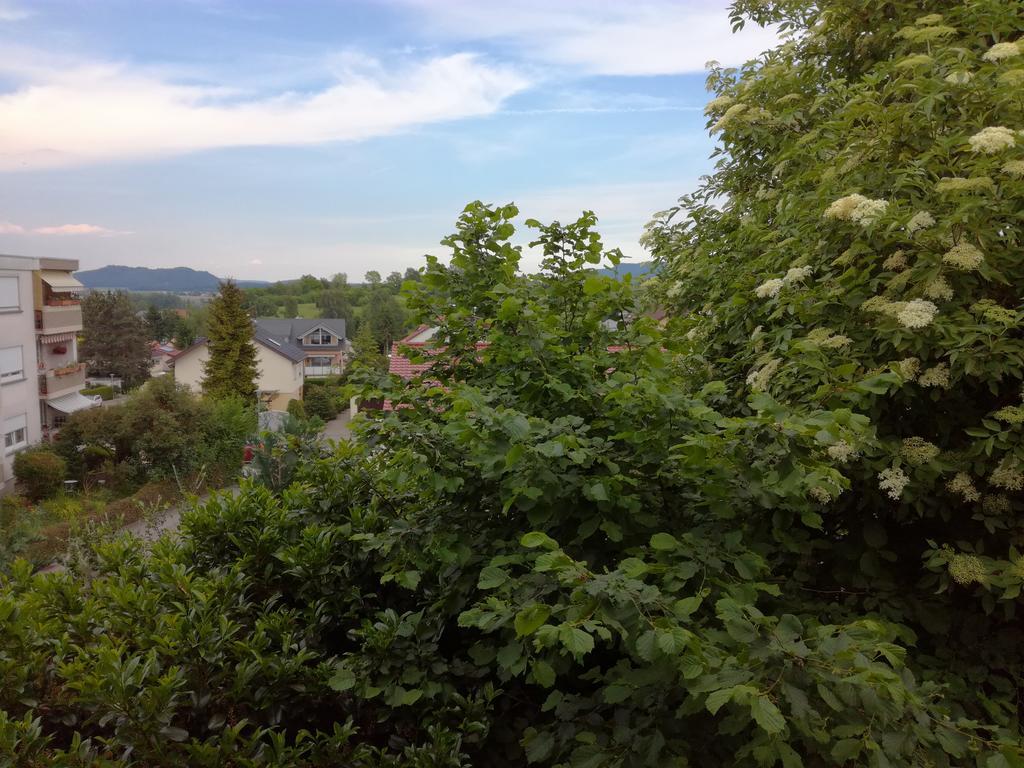 Alte Schreinerei-Auberge Harlekin Randegg Kültér fotó